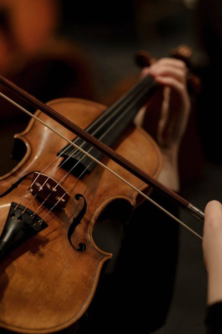 violino