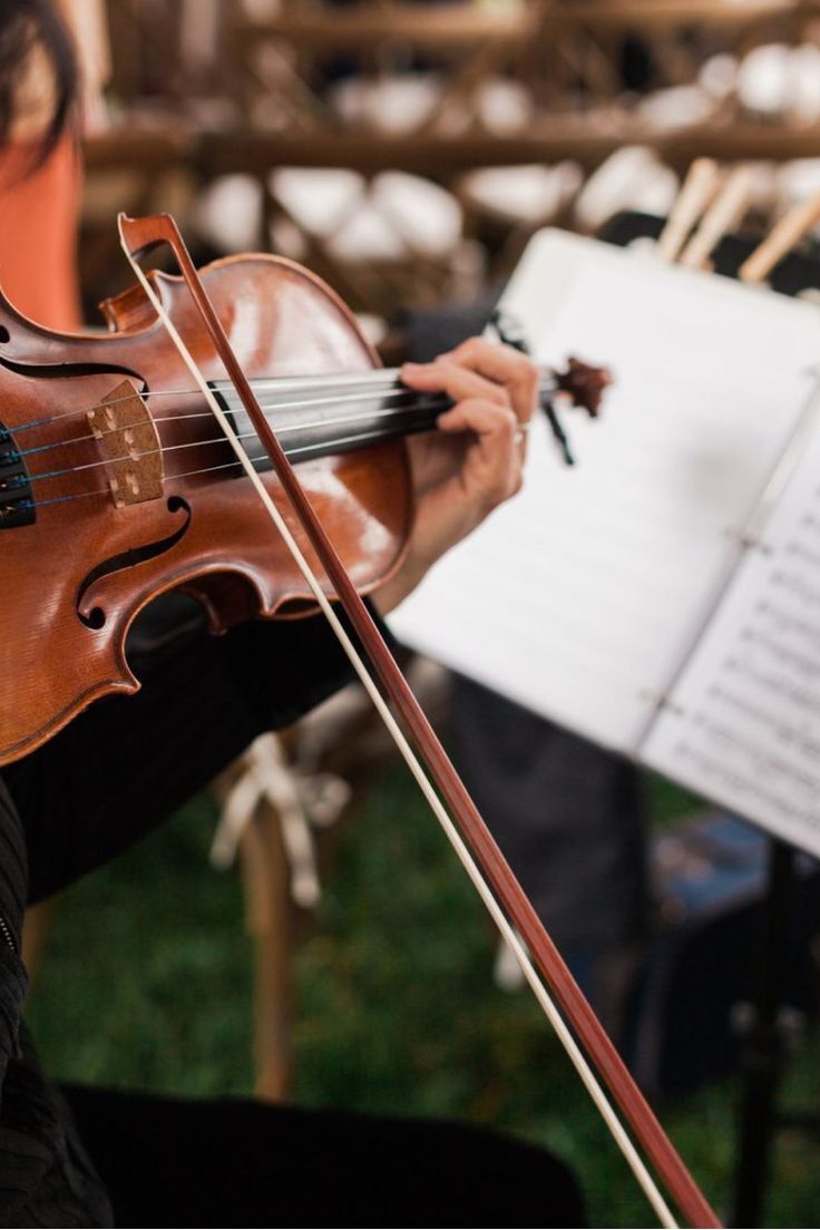 violino